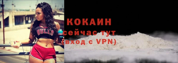 шишки Навашино
