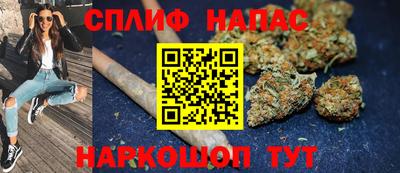 мдпв Гусев