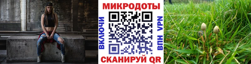 дарнет шоп Канаш Галлюциногенные грибы Magic Shrooms