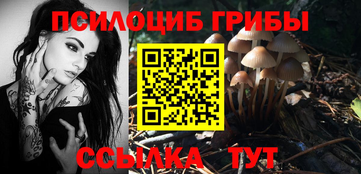 Галлюциногенные грибы мицелий  Псилоцибиновые грибы MAGIC MUSHROOMS  Канаш  Вход с VPN 