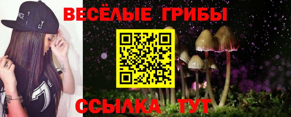 дарнет шоп  Канаш  Галлюциногенные грибы Psilocybine cubensis 