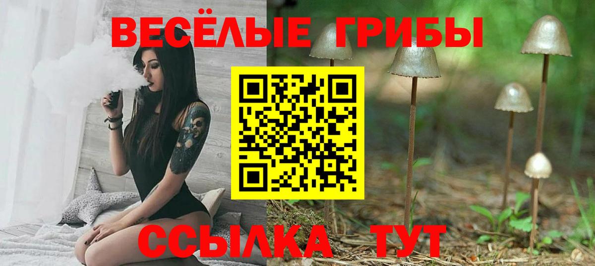 Псилоцибиновые грибы мицелий Канаш